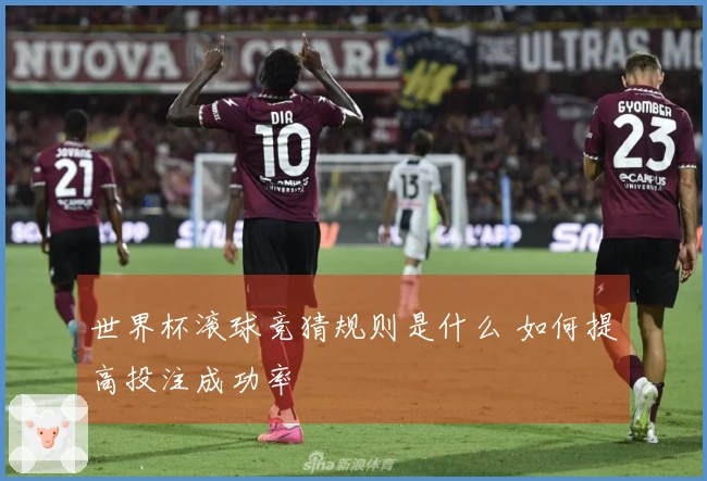 世界杯滚球竞猜规则是什么 如何提高投注成功率