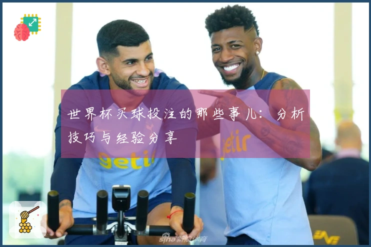 世界杯买球投注的那些事儿：分析技巧与经验分享