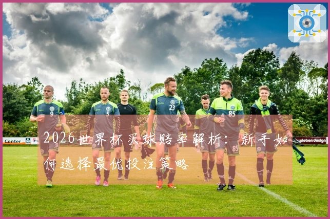 2026世界杯买球赔率解析：新手如何选择最优投注策略