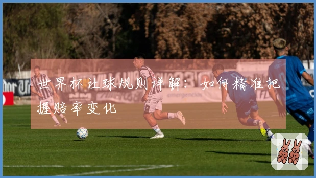 世界杯让球规则详解：如何精准把握赔率变化