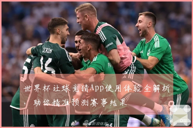 世界杯让球竞猜App使用体验全解析，助你精准预测赛事结果