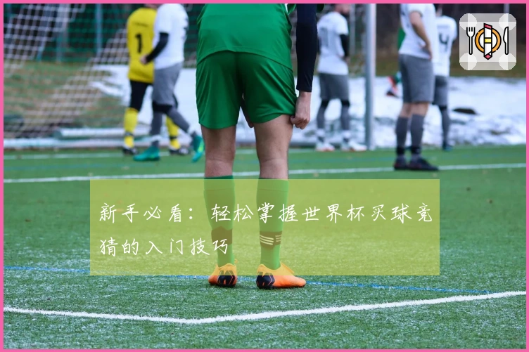 新手必看：轻松掌握世界杯买球竞猜的入门技巧