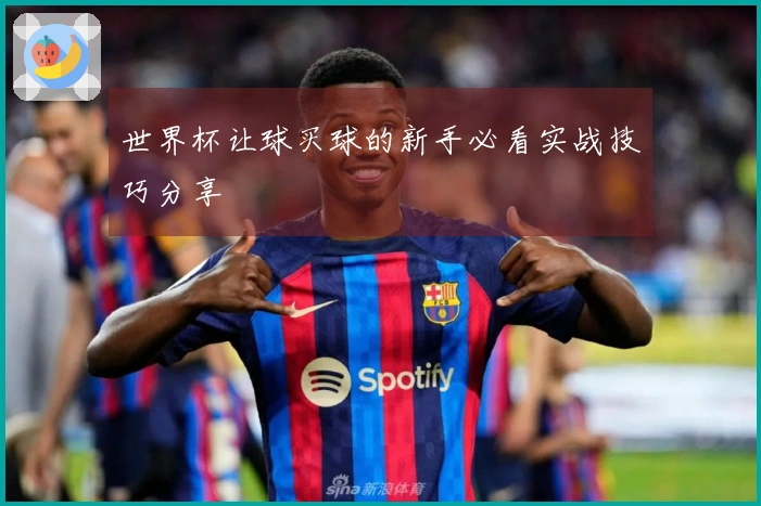 世界杯让球买球的新手必看实战技巧分享